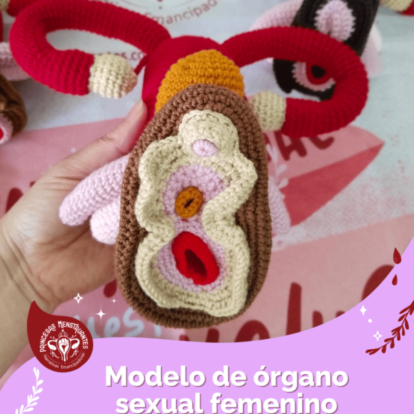 módelo útero princesas menstruantes.