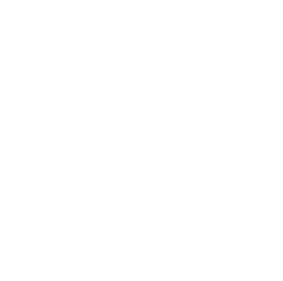 LOGO_PrincesasMenstruantes-15 (1) LOGO_PrincesasMenstruantes